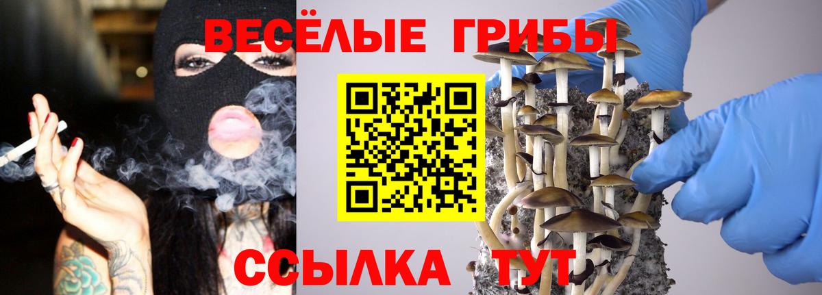 Псилоцибиновые грибы MAGIC MUSHROOMS  Галлюциногенные грибы Magic Shrooms  Вход с VPN  Шахты 